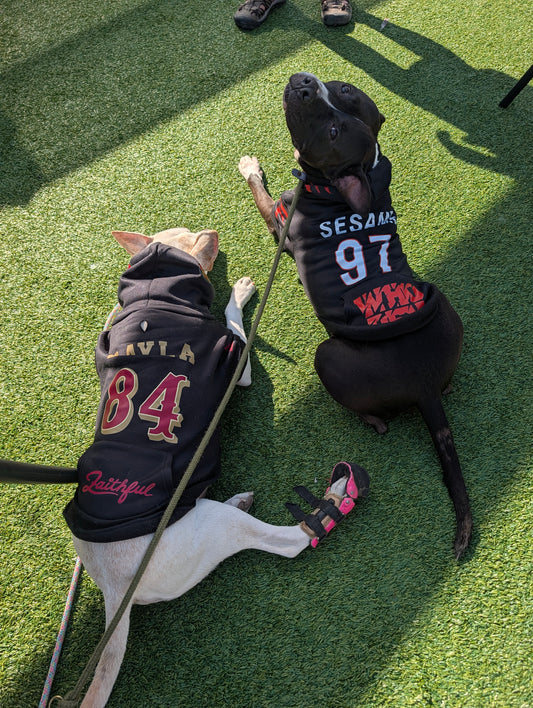 Custom Sports Jersey Pet Hoodie W Pocket