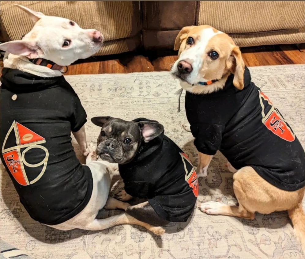Sports Pet Hoodie