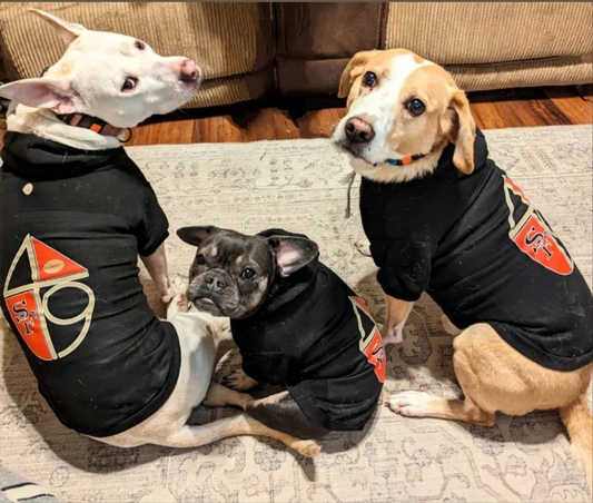 Sports Pet Hoodie