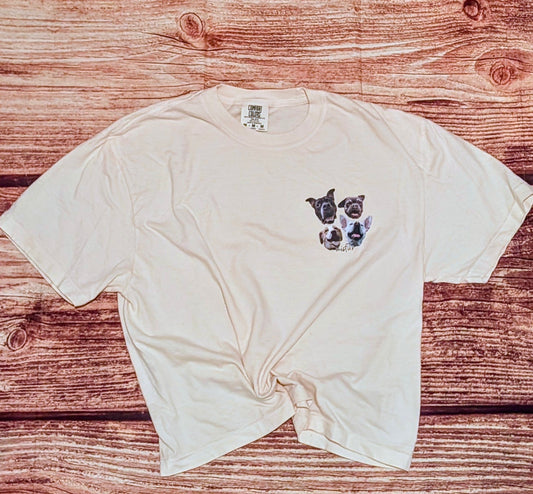 Custom Vector Pet Design Comfort Colors Unisex Boxy Cropped T Shirt