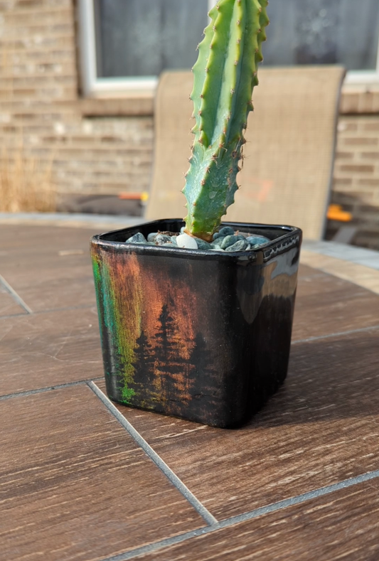 Northern Lights with Trees Flower Pot