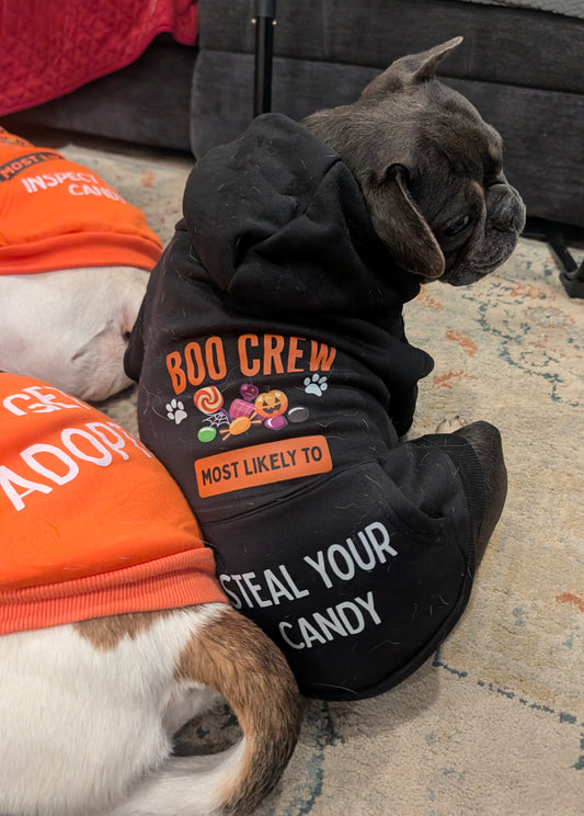 Boo Crew Halloween Pet Hoodie W Pocket