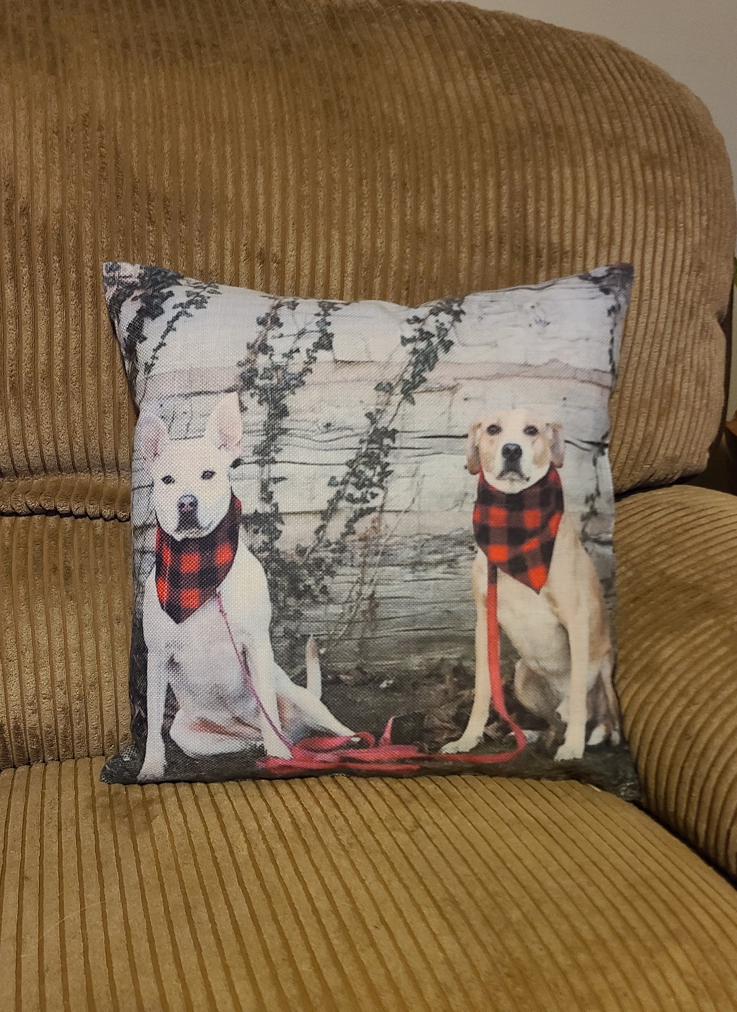 Custom Pillow