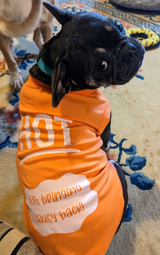 Custom Sauce Pet T Shirt