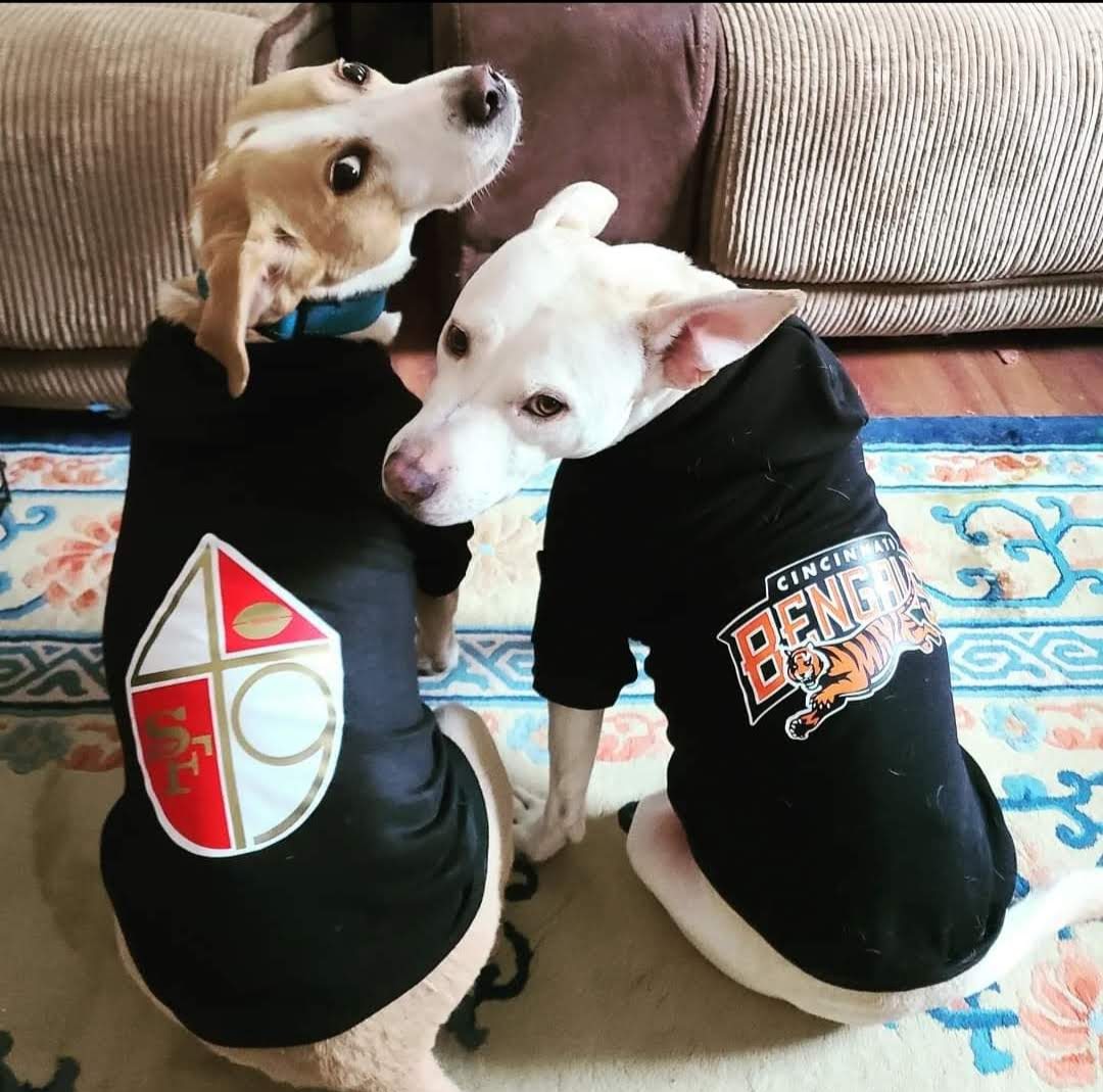 Sports Pet Hoodie