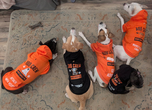 Boo Crew Halloween Pet Hoodie W Pocket