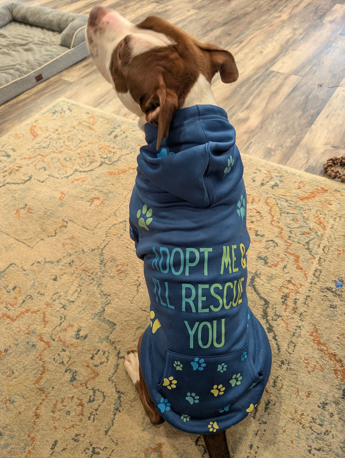 Custom Pet Hoodie W Pocket