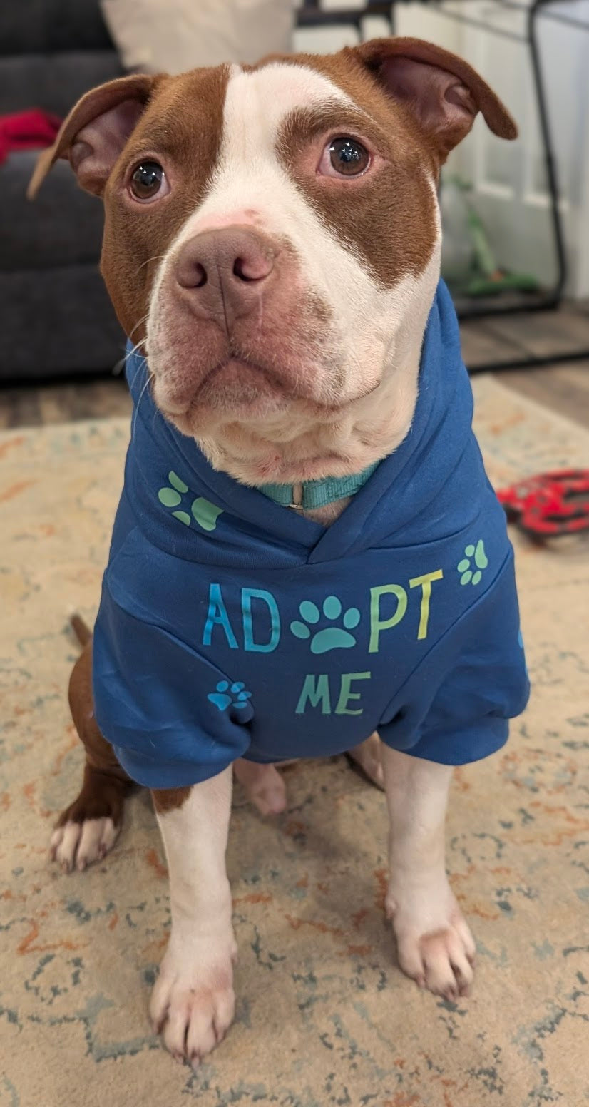 Custom Pet Hoodie W Pocket