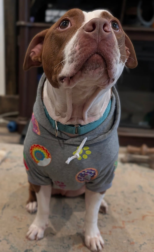 Donut Pet Hoodie W Pocket