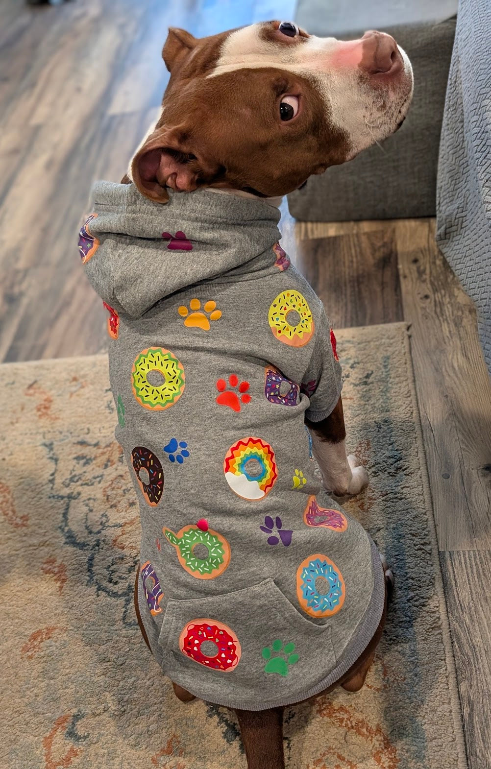 Donut Pet Hoodie W Pocket