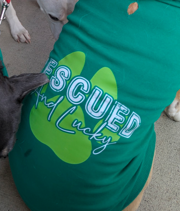 Rescued and Lucky Pet Hoodie