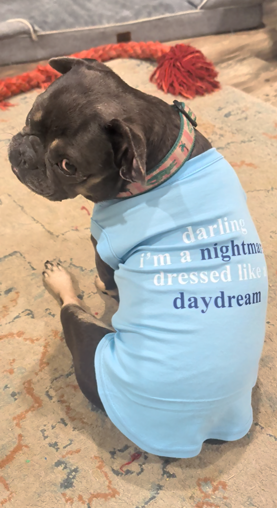 Darling I'm a Nightmare Dressed like a Daydream Pet T Shirt