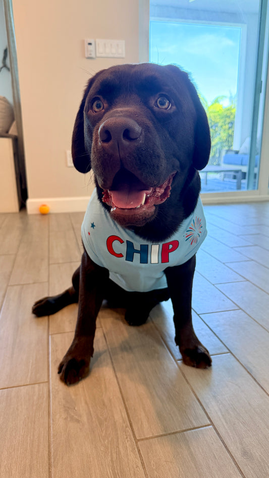 Chill the 4th Out Pet T Shirt