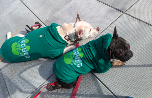 Rescued and Lucky Pet Hoodie