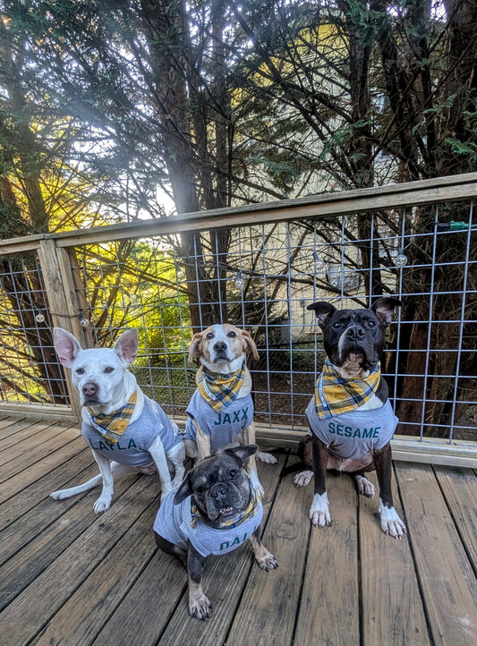 Custom Pet T Shirt