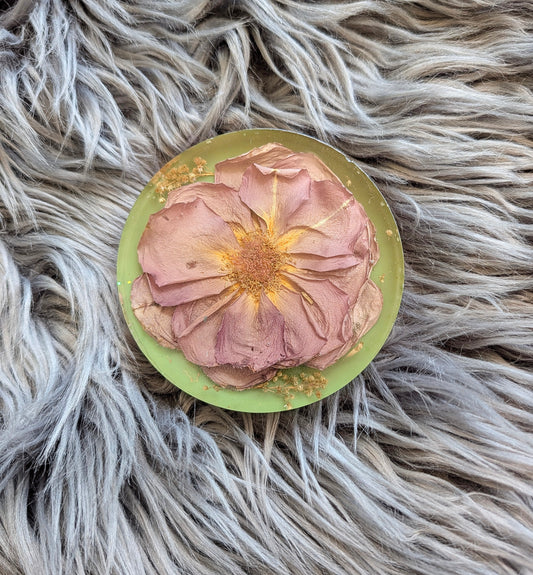 Dried Flower Circle Coaster