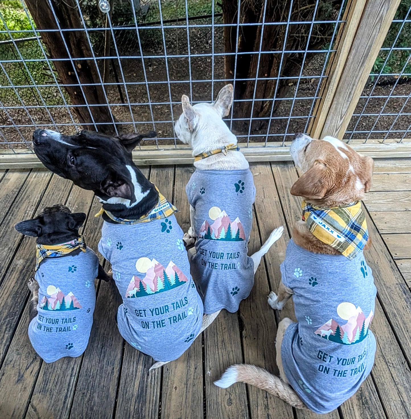 Get Your Tails on the Trail Pet T Shirt