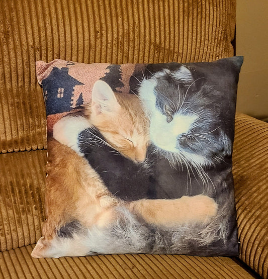 Custom Pillow