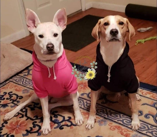 Custom Pet Hoodie