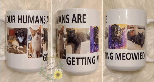 Humans Getting Meowed Cat Ceramic Mug